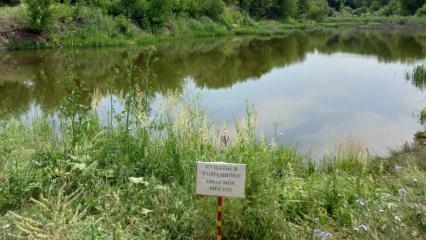 За прошедшую неделю в Татарстане утонуло 16 человек - НТР 24