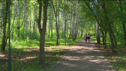 Метеорологи предупредили татарстанцев о высокой чрезвычайной пожарной опасности лесов - НТР 24