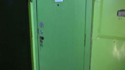 Жильцы нижнекамской многоэтажки страдают от антисанитарии, которую развели квартиранты с кошками - НТР 24