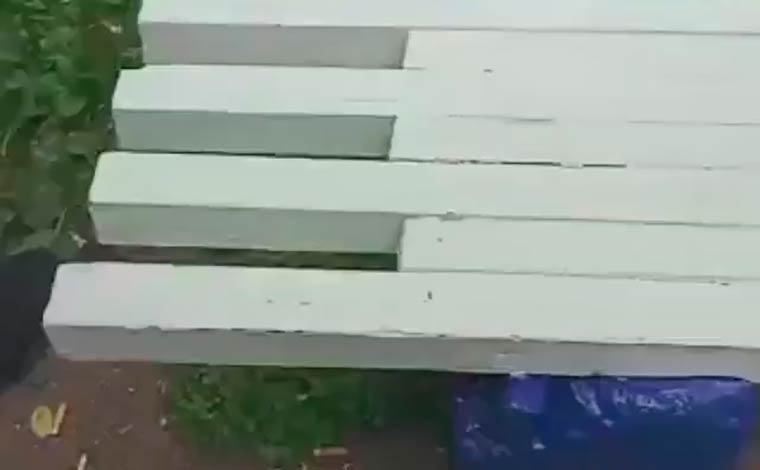 Жители Нижнекамска сняли на видео обитателей скамейки