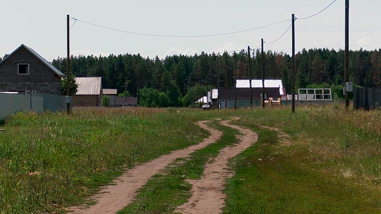 Жителям Нижнекамского района дали совет, как отучить лисиц гулять по селу