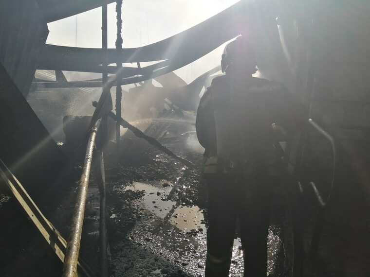 В Татарстане в пожаре чуть не погибло 100 коров