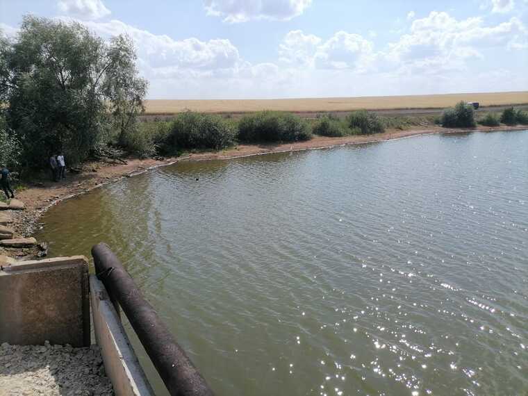 Мужчина утонул в одном из прудов Татарстана
