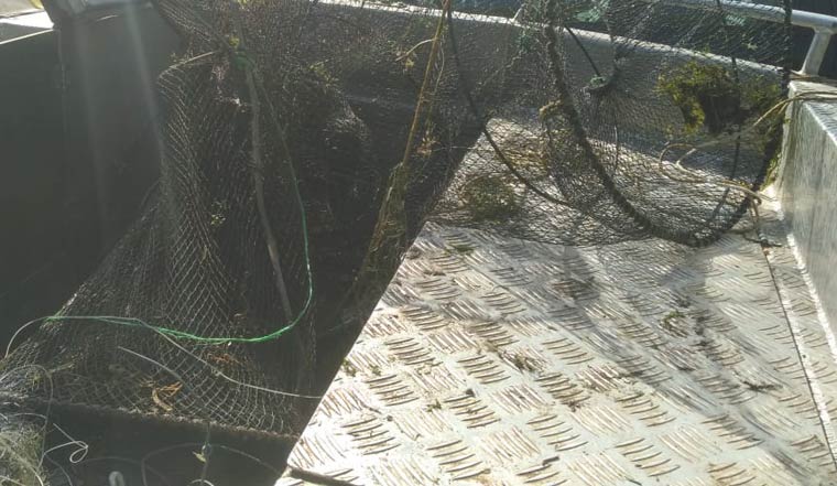 Тело жителя Нижнекамска нашли в рыболовных сетях в Мамадышском районе