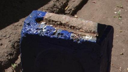 Дом на пр. Строителей в Нижнекамске атаковали тараканы - НТР 24