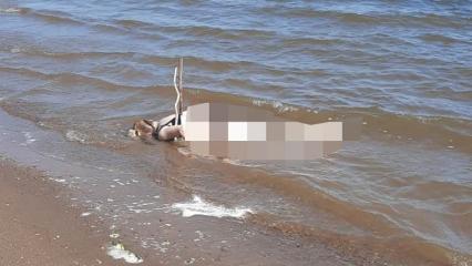 В Нижнекамске рядом с городским пляжем обнаружили тело девушки