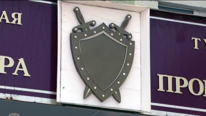 В прокуратуре Нижнекамска пояснили, где находится «пропавшее» дело об убийстве собаки - НТР 24