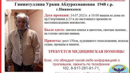 В Нижнекамске ищут женщину, страдающую провалами в памяти - НТР 24