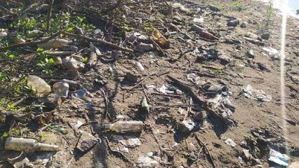 Нижнекамка поделилась фотографиями плохого состояния одного из городских водоёмов - НТР 24