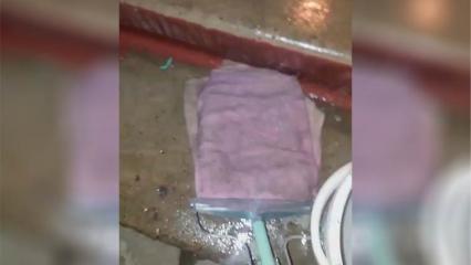 Жителям многоквартирного дома под Нижнекамском приходится самим убираться в подъезде - НТР 24