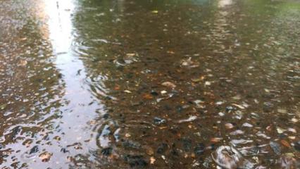 Татарстан накроют ливни, шквал, но сохранится жара до +34 - НТР 24