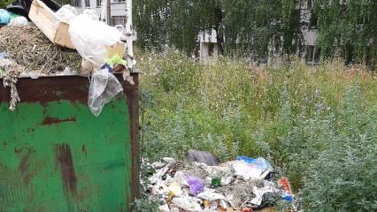 В одном из дворов Нижнекамска почти месяц не вывозится мусор