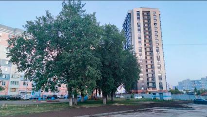 Жители Нижнекамска просят сохранить старые дубы, которые хотят вырубить из-за новостройки - НТР 24