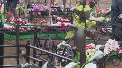 Жительница Нижнекамска рассказала, что на кладбище в Афанасово «появились какие-то твари» - НТР 24