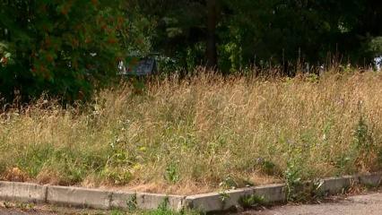 В Нижнекамске заброшенный коммунальщиками сквер превратился в рай для алкоголиков - НТР 24