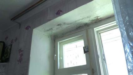 Приехавшим на вызов в Дом ветеранов пожарным помешали яблони и забор - НТР 24