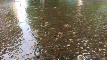 На Татарстан обрушатся ливни с грозами, градом и ветром до 20 м/с - НТР 24