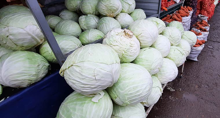 В Татарстане откроется пять ярмарок со специальными ценами на овощи