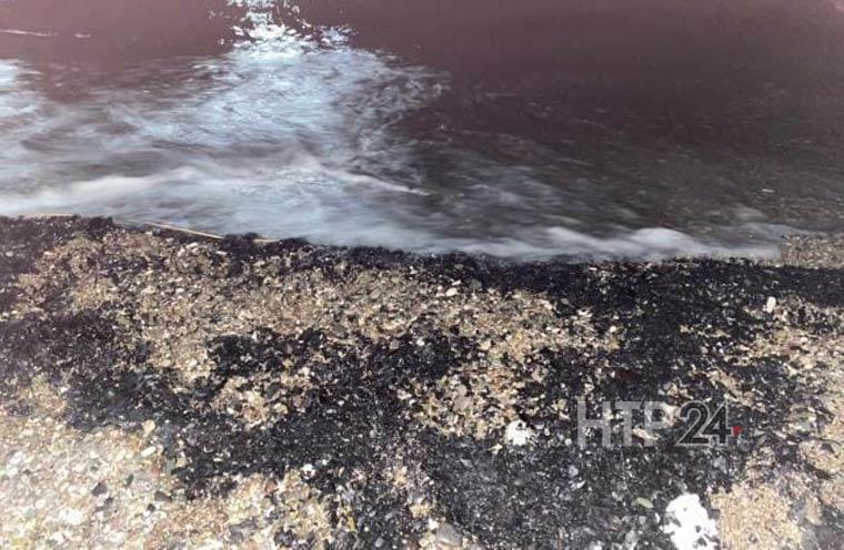 «Пепел пришел»: отдыхающий в Кемере турист из Нижнекамска показал турецкое побережье, устланное пеплом 