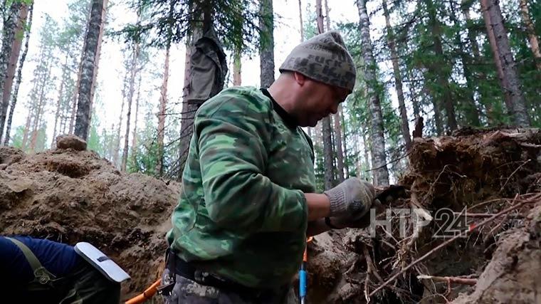 Нижнекамские поисковики ищут в Карелии останки солдат, погибших в Советско-финской войне