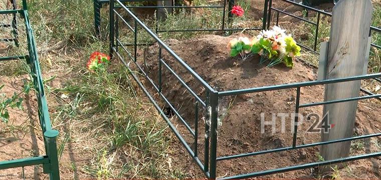 Суслики изрыли могилы на городском кладбище Нижнекамска