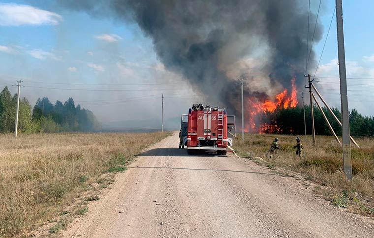 Лесной пожар в Альметьевском районе Татарстана