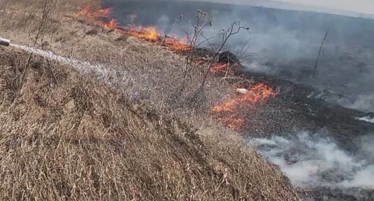 В Лаишевском районе Татарстана сгорел 1 гектар травы
