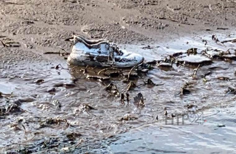 На берегу Камы обнаружили кроссовок пропавшей недалеко от Нижнекамска Виктории Сычёвой