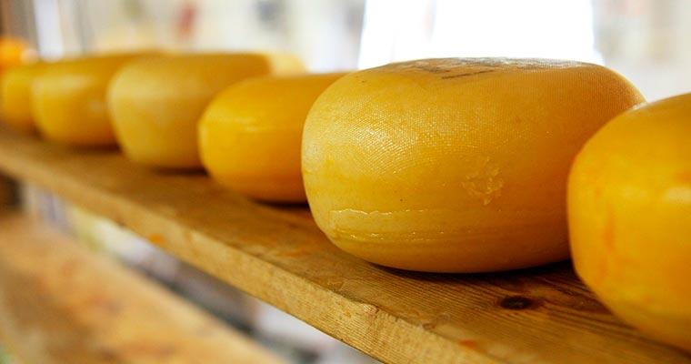 Дети с ОВЗ и дети-сироты могут научится варить сыр в первой детской сыроварне