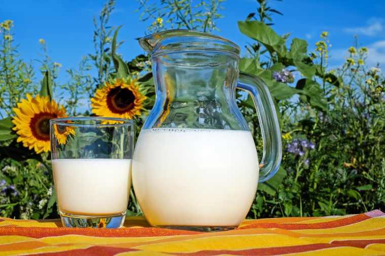 Татарстан бьёт рекорды по производству молока в России