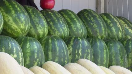 3 августа отмечается День арбуза - НТР 24