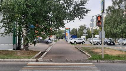 Жителям Нижнекамска в День светофора напомнили о правилах дорожного движения