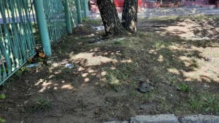 В Нижнекамске сотрудники сауны жарят шашлыки прямо на газоне возле жилого дома