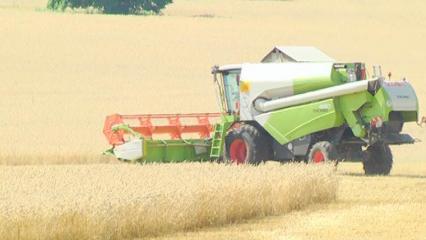 Аграриям Татарстана предоставят поддержку в связи с летней засухой