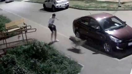 На видео попало, как нижнекамец защищался от напавшего на него пса и разбил машину соседа
