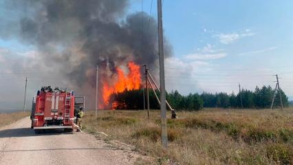 В Татарстане на площади 5,5 тыс. кв. м загорелся лес, пожар тушили 2,5 часа
