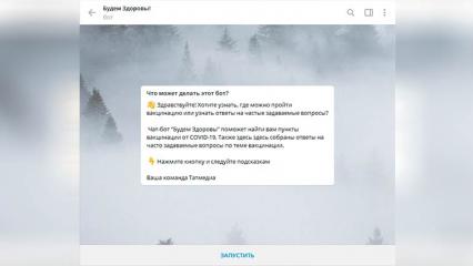 Для жителей Татарстана запустили телеграм-бота по вакцинации - НТР 24