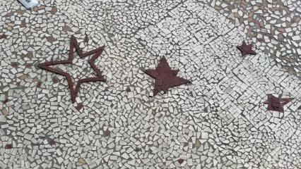 Заммэра Нижнекамска Марина Камелина предложила горожанам угадать объект по фотографии - НТР 24