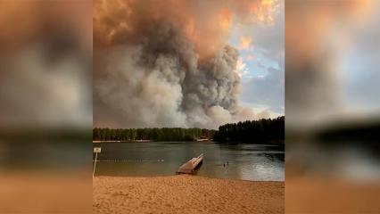 В соседней с Татарстаном республике разбушевались лесные пожары, они подобрались к жилым домам - НТР 24