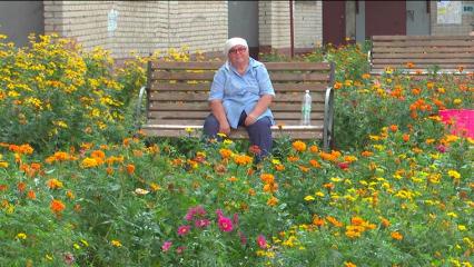 Жильцы дома в Нижнекамске разволновались после решения коммунальщиков об очистке клумб - НТР 24