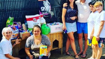 Зооволонтёры передали приютам Нижнекамска 250 кг корма, собранного жителями города - НТР 24