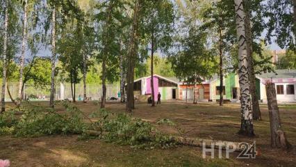 Прошедший по Нижнекамску ливень навел беспорядок в парках города - НТР 24
