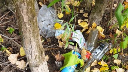 Жителей Нижнекамска упрекнули за «свинство» на природе - НТР 24