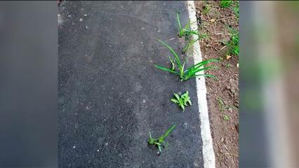 «Асфальт с черноземом спутали»: жители Нижнекамска не могут дождаться окончания капремонта - НТР 24