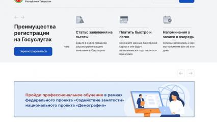 Жителей Татарстана обучат пользованию новыми сервисами на портале госуслуг