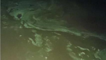 Нижнекамцы обнаружили на поверхности Камы странное вещество - НТР 24