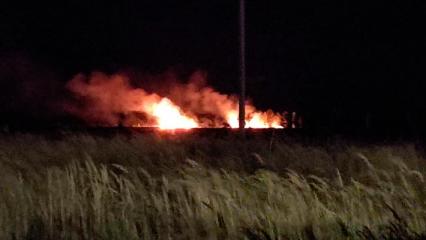 В Нижнекамске возле одной из улиц города загорелось поле - НТР 24