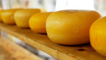 Дети с ОВЗ и дети-сироты могут научится варить сыр в первой детской сыроварне