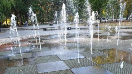 Нижнекамцы указали на неработающий почти весь август фонтан в парке «СемьЯ»