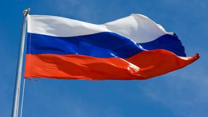 В российских школах будут проводить церемонии поднятия государственного флага